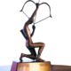Arjuna Awards
