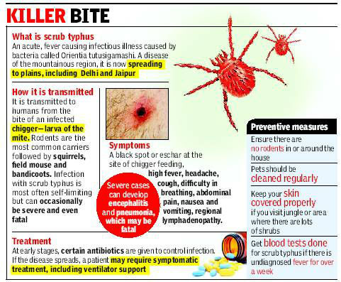 Child Critical With Rickettsial Infection And Covid Gets Timely Treatment 141 Killer bite of Rickettsial insect vectors