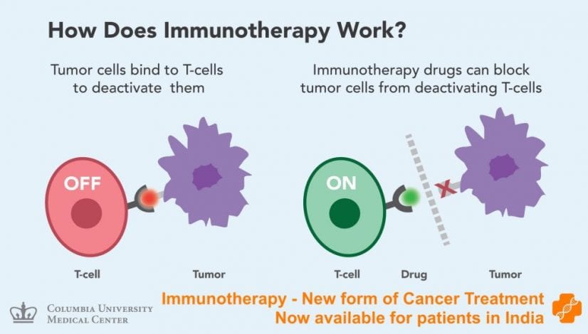 How does immunotherapy work?
