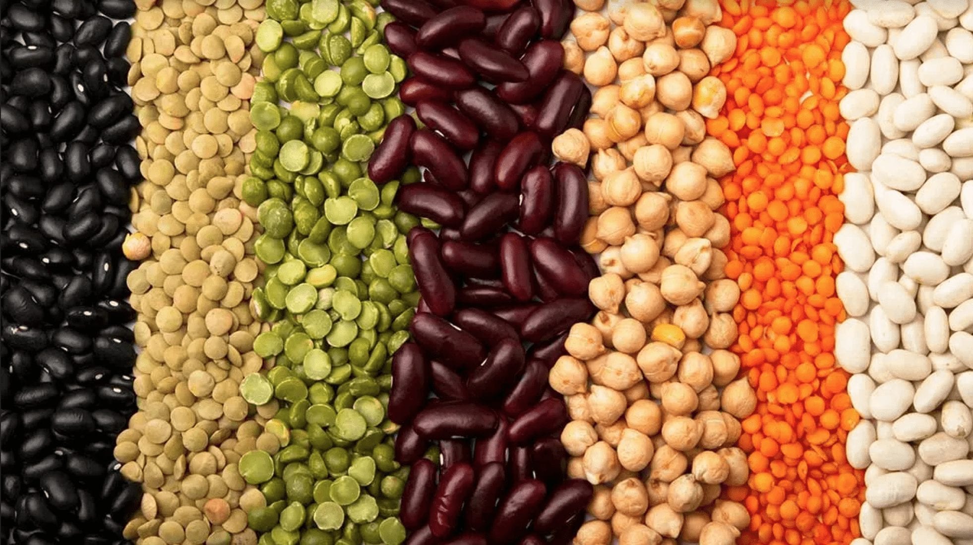 Legumes