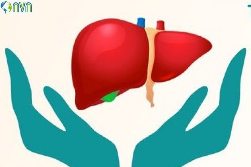 Liver Transplant