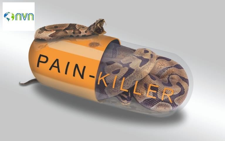 NVN Painkiller1