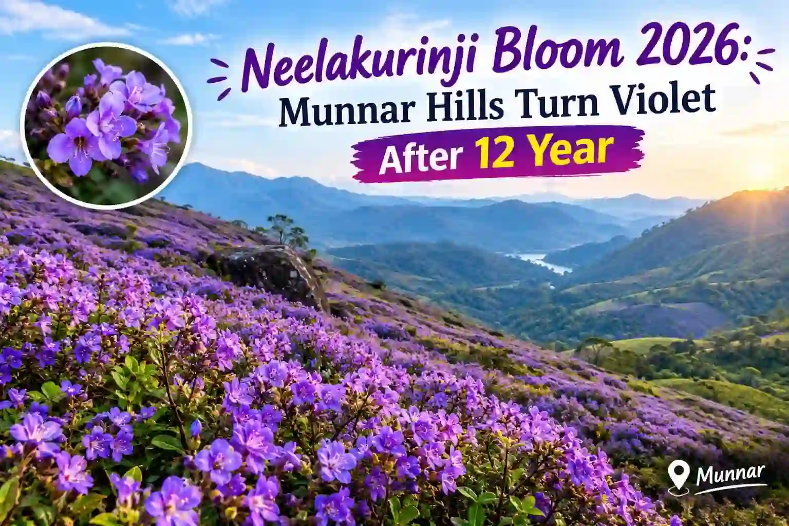 Neelakurinji Bloom 2026: Munnar Hills Turn Violet After 12 Years