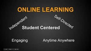 Online Learning: Pros and Cons 142 OInhP