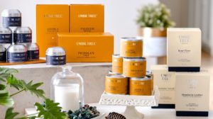 Umbr Tree collaborates with Eminent brand to facilitate online and offline shopping