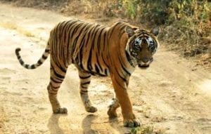 WhatsApp Image 2020 01 26 at 17.24.22