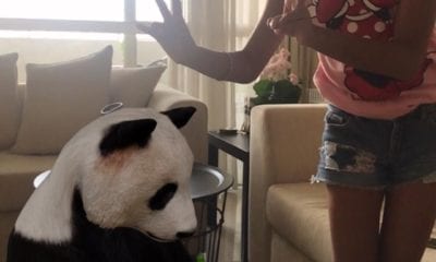 WhatsApp Image 2020 03 28 at 22.36.40