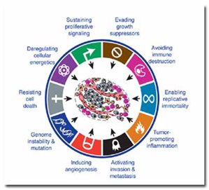 Immunotherapy progress