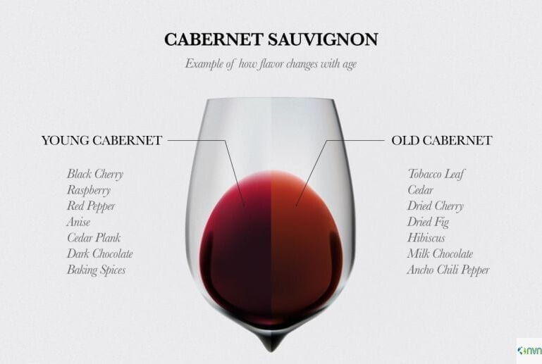 Cabernet Sauvignon