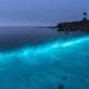 biolumiscent