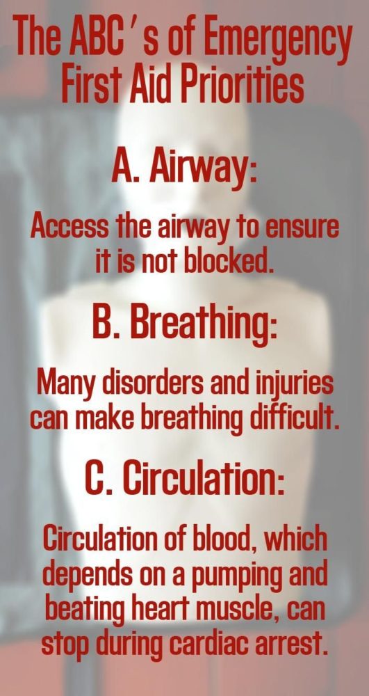 The ABC's of Emergency First Aid Priorities: Airway Breathing and Circulation [ ABC ]