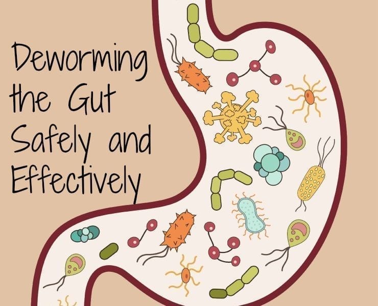 deworming the gut1
