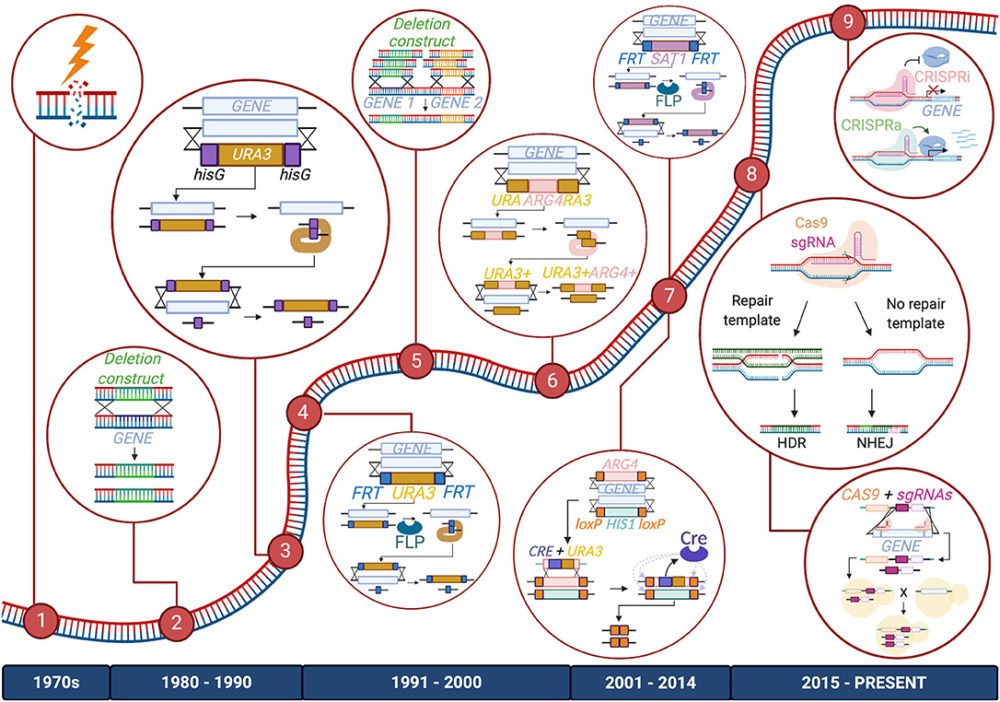 Evolution of Pharmaceutical sciences