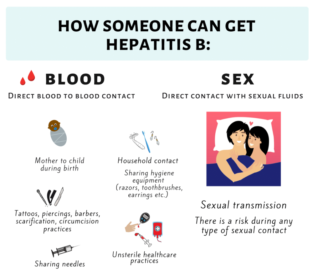 Transmission of Hepatitis B