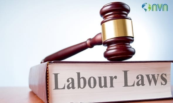 Labour & Employment Laws