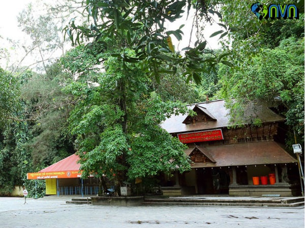 mannarasala-nagaraja-temple pics