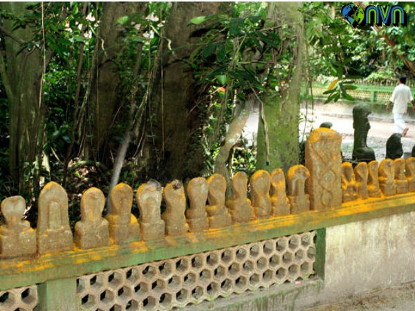 Mannarasala Temple Premises