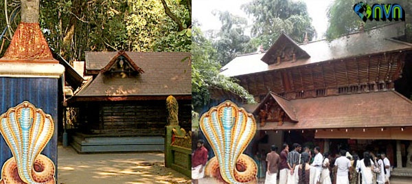mannarasala nagaraja temple