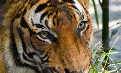 photo 1500081780614 a594a7ac7daf