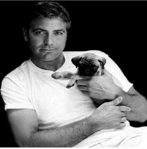George Clooney love for puppies
