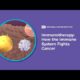 Development Of Immunotherapy In Cancer Treatments