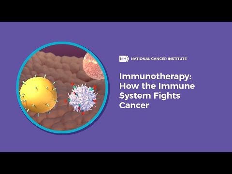 Development Of Immunotherapy In Cancer Treatments