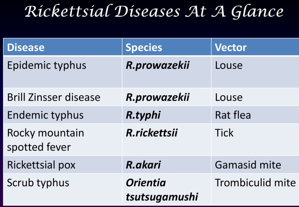 Rickettsial diseases at a glance