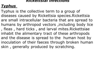 Rickettsial Infections