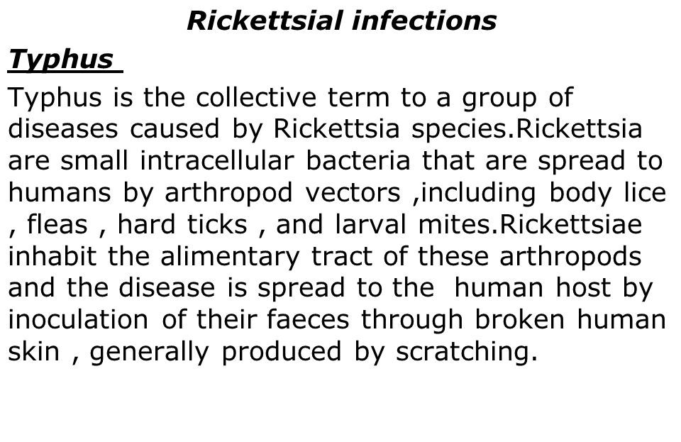 Rickettsial Infections